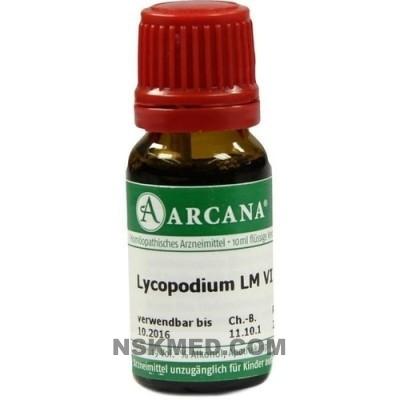LYCOPODIUM LM 6 Dilution 10 ml