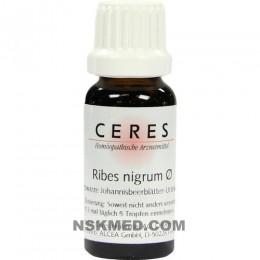 CERES Ribes nigrum Urtinktur 20 ml