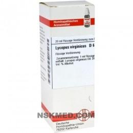 LYCOPUS VIRGINICUS D 6 Dilution 20 ml