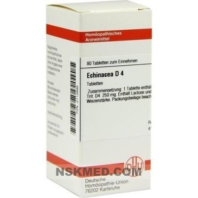 ECHINACEA HAB D 4 Tabletten 80 St