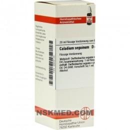 CALADIUM seguinum D 4 Dilution 20 ml