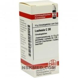 Лахезис гранулы (LACHESIS) C 30 Globuli 10 g