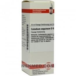 CALADIUM seguinum D 6 Dilution 20 ml