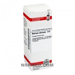 NATRIUM NITRICUM D 4 Dilution 20 ml