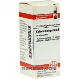 CALADIUM seguinum C 30 Globuli 10 g