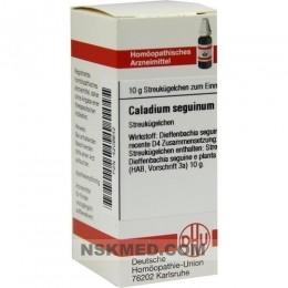 CALADIUM seguinum D 4 Globuli 10 g