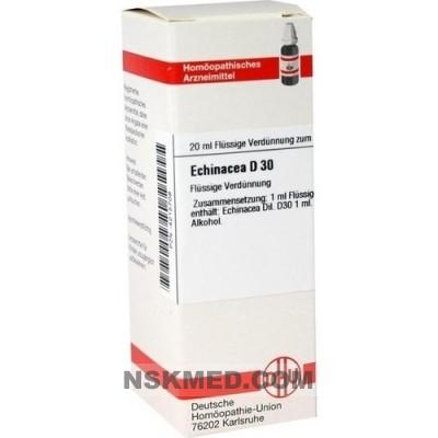 ECHINACEA HAB D 30 Dilution 20 ml