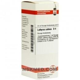 LATHYRUS SATIVUS D 4 Dilution 20 ml