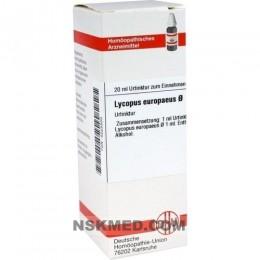 LYCOPUS EUROPAEUS Urtinktur 20 ml