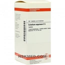 CALADIUM seguinum C 5 Tabletten 200 St