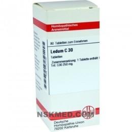 Ледум таблетки (LEDUM) C 30 Tabletten 80 St