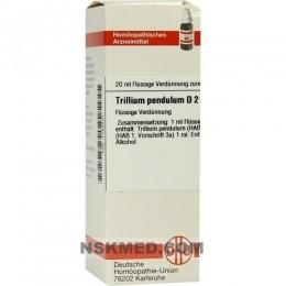 TRILLIUM PENDULUM D 2 Dilution 20 ml