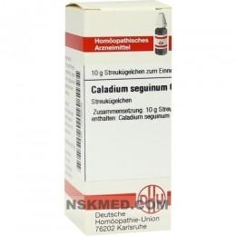 CALADIUM seguinum C 6 Globuli 10 g