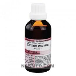 CARDUUS MARIANUS Urtinktur 50 ml