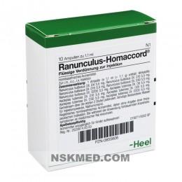RANUNCULUS HOMACCORD Ampullen 10 St