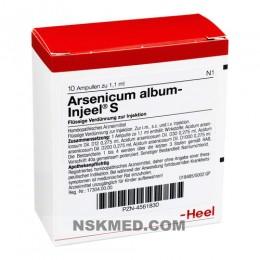 ARSENICUM ALBUM INJEEL S Ampullen 10 St