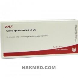 GALEA APONEUROTICA GL D 6 Ampullen 10X1 ml