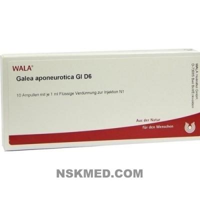GALEA APONEUROTICA GL D 6 Ampullen 10X1 ml