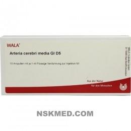 ARTERIA CEREBRI media GL D 5 Ampullen 10X1 ml