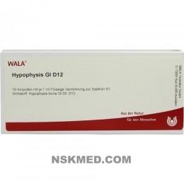 HYPOPHYSIS GL D 12 Ampullen 10X1 ml