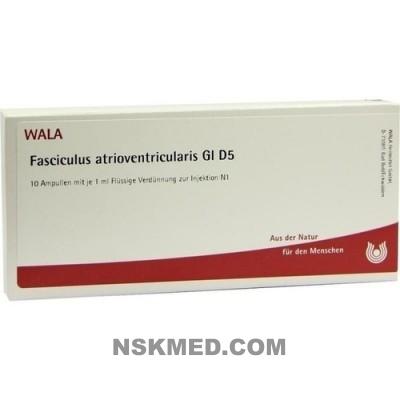 FASCICULUS ATRIOVENTR. GL D 5 Ampullen 10X1 ml