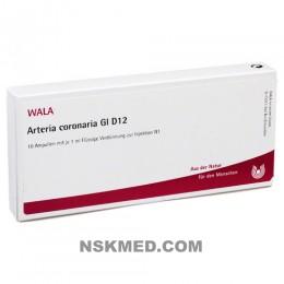 ARTERIA CORONARIA GL D 12 Ampullen 10X1 ml