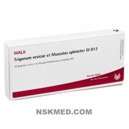 TRIGONUM VES.et Musc.sph.GL D 12 Ampullen 10X1 ml