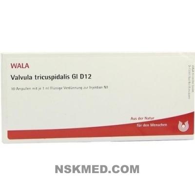 VALVULA TRICUSPIDALIS GL D 12 Ampullen 10X1 ml