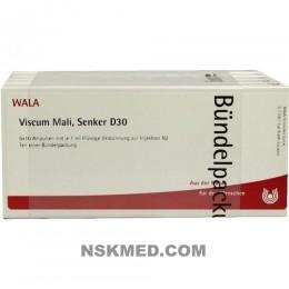 VISCUM MALI Senker D 30 Ampullen 50X1 ml