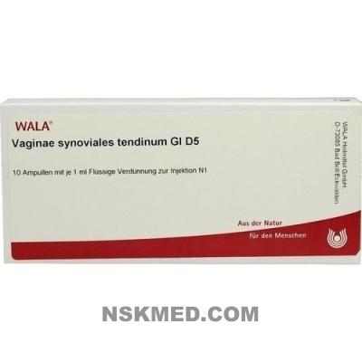 VAGINAE SYNOVIALIS TENDINUM GL D 5 Ampullen 10X1 ml
