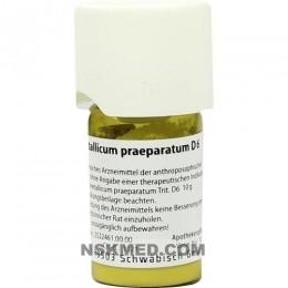 FERRUM METALLICUM praeparatum D 6 Trituration 20 g
