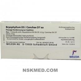 BRYOPHYLLUM D 5/Conchae D 7 Ampullen 8X1 ml