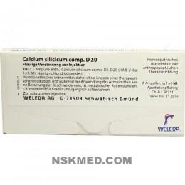 CALCIUM SILICICUM COMP.D 20 Ampullen 8X1 ml