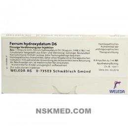 FERRUM HYDROXYDATUM D 6 Ampullen 8X1 ml
