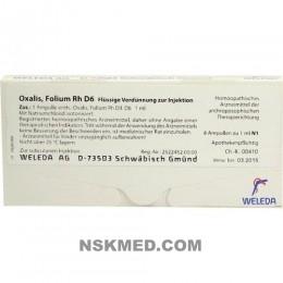 OXALIS FOLIUM Rh D 6 Ampullen 8X1 ml