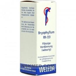 BRYOPHYLLUM RH D 3 Dilution 20 ml