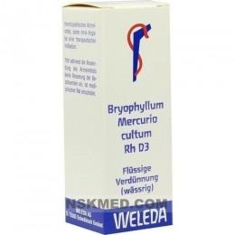 BRYOPHYLLUM MERCURIO cultum Rh D 3 Dilution 20 ml