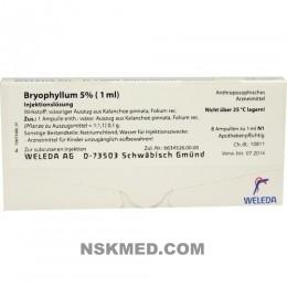 BRYOPHYLLUM 5% 1 ml Injektionslösung 8X1 ml