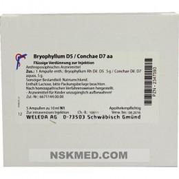 BRYOPHYLLUM D 5/Conchae D 7 Ampullen 5X10 ml