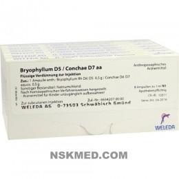 BRYOPHYLLUM D 5/Conchae D 7 Ampullen 48X1 ml