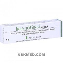 Инфектоджинджи гель для слизистой оболочки полости рта и десен (INFECTOGINGI Mundgel) 6 g