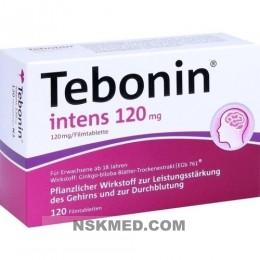 TEBONIN intens 120 mg Filmtabletten 120 St