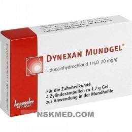 Динексан (DYNEXAN) Mundgel Zylinderampullen 4X1.7 g